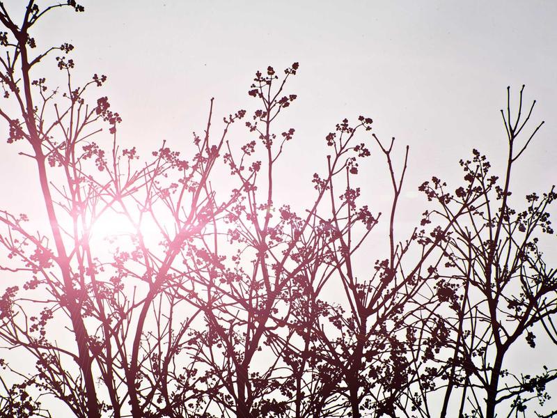 sudoku grid completion screenshot 5