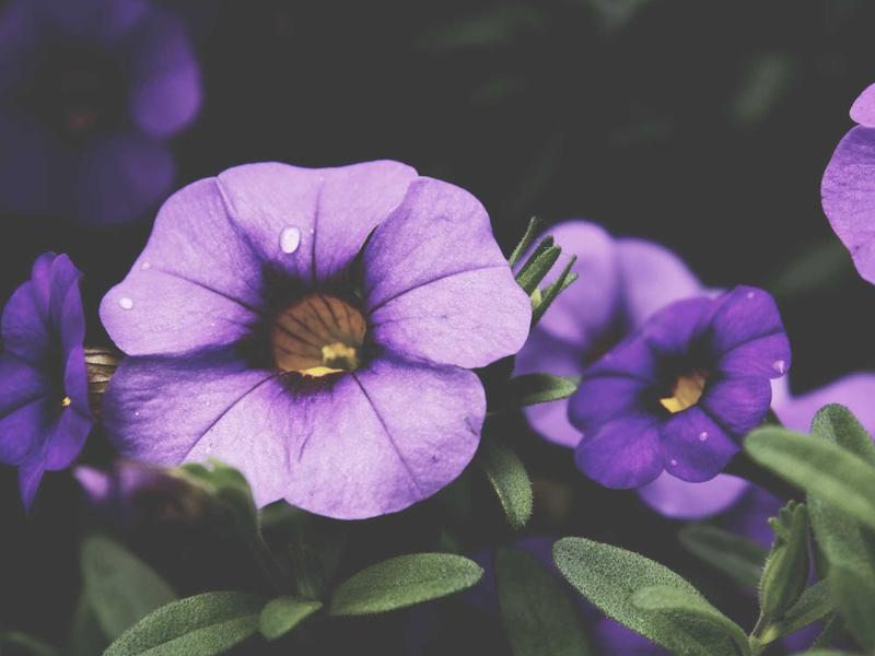 sudoku grid completion