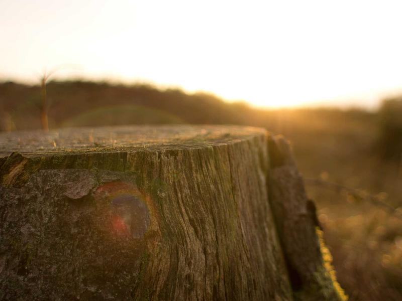 sudoku grid completion screenshot 2